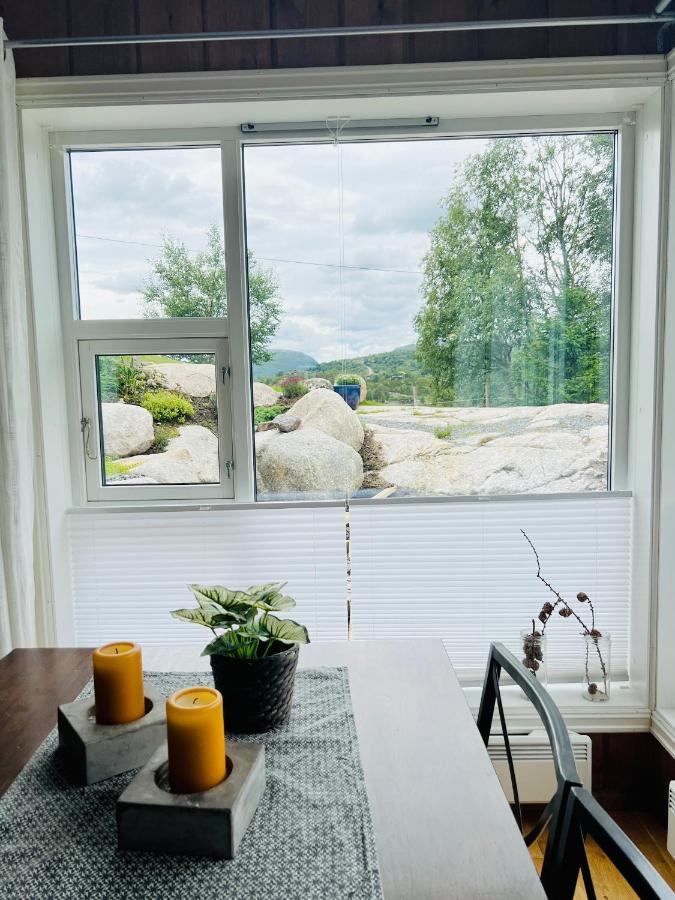 Flott Leilighet Pa Haugen I Sirdal Tjorhom Ngoại thất bức ảnh